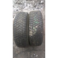 195/65 /R15 Dunlop 2шт 5,5мм